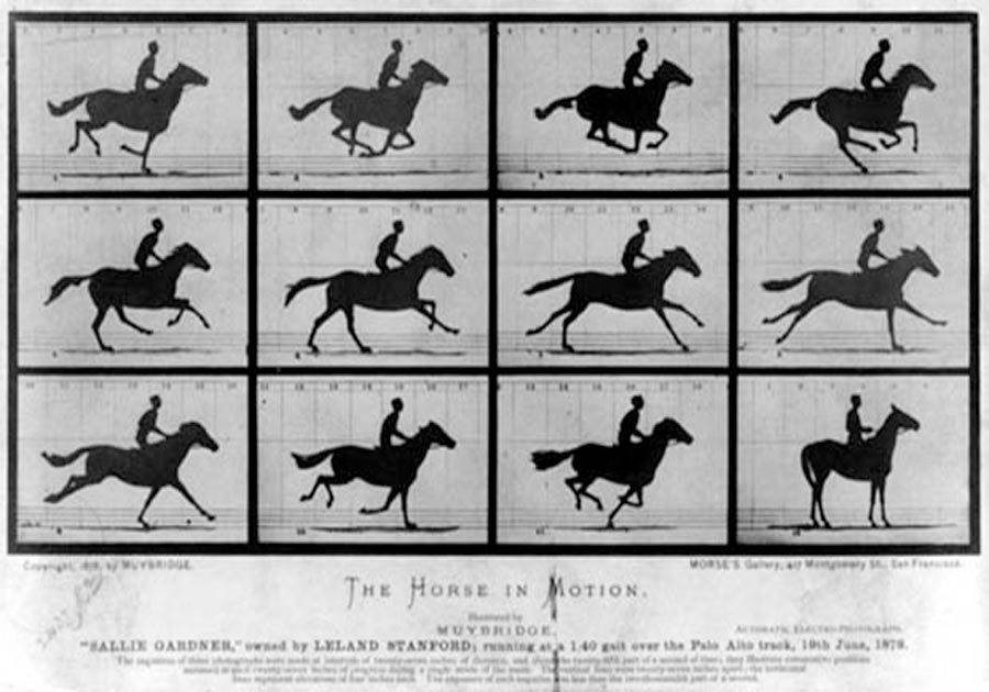The horse in motion by Eadweard Mybridge