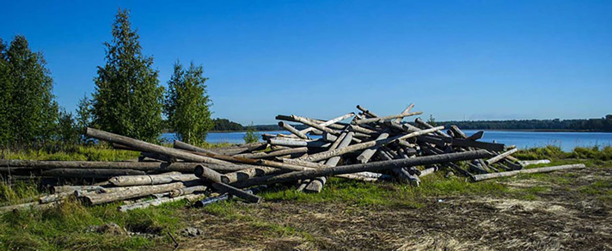 Pile of wooden beams